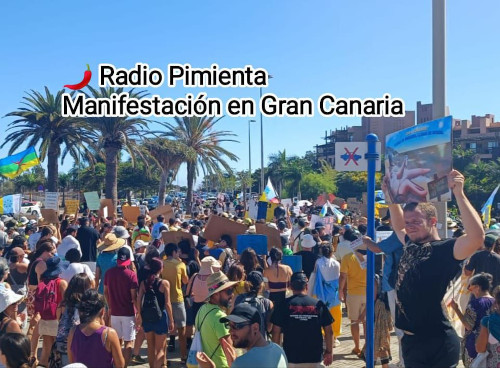 Manifestación Canarias