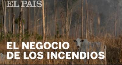 Imagen Imagen