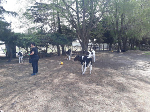 Viaje argentina 12