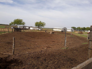 Viaje argentina 12