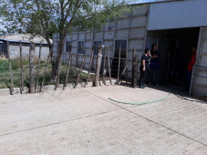 Viaje argentina 12