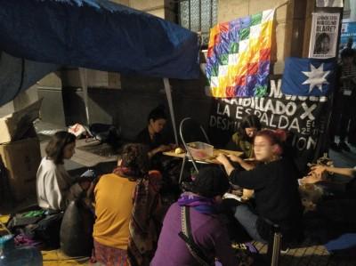 22ª Crónica. La rebelión de las flores nativas y el Encuentro Plurinacional