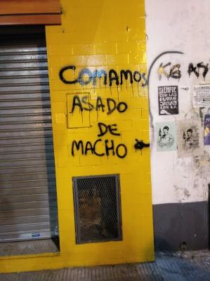 22ª Crónica. La rebelión de las flores nativas y el Encuentro Plurinacional 22ª Crónica. La rebelión de las flores nativas y el Encuentro Plurinacional