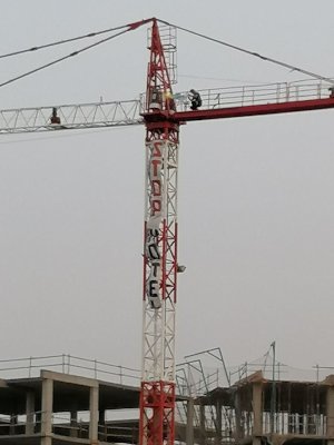 Activistas escalan en Tenerife a las grúas de La Tejita esta mañana para exigir la paralización de las obras de este Hotel Activistas escalan en Tenerife a las grúas de La Tejita esta mañana para exigir la paralización de las obras de este Hotel