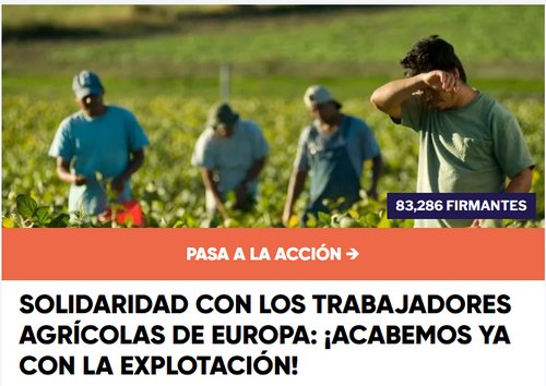 Cartel