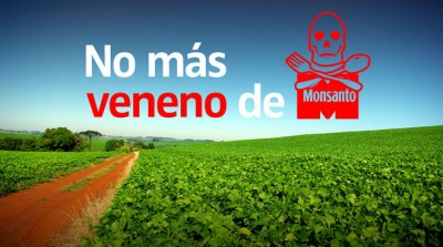 En pocas palabras ¡Sí se puede! En pocas palabras ¡Sí se puede!
